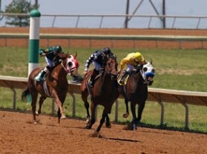Digital Signage Melbourne cup