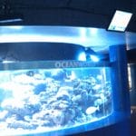 Digital Signage at Oceanworld Manly Australia