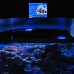 Digital Signage at Oceanworld Manly Australia