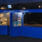 Digital Signage at Oceanworld Manly Australia