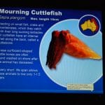 Digital SIgnage Error Message