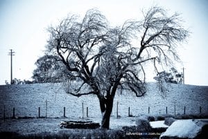 zenoasiswishingwell copy