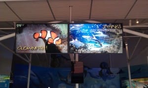 Digital Signage at Sydney Aquarium