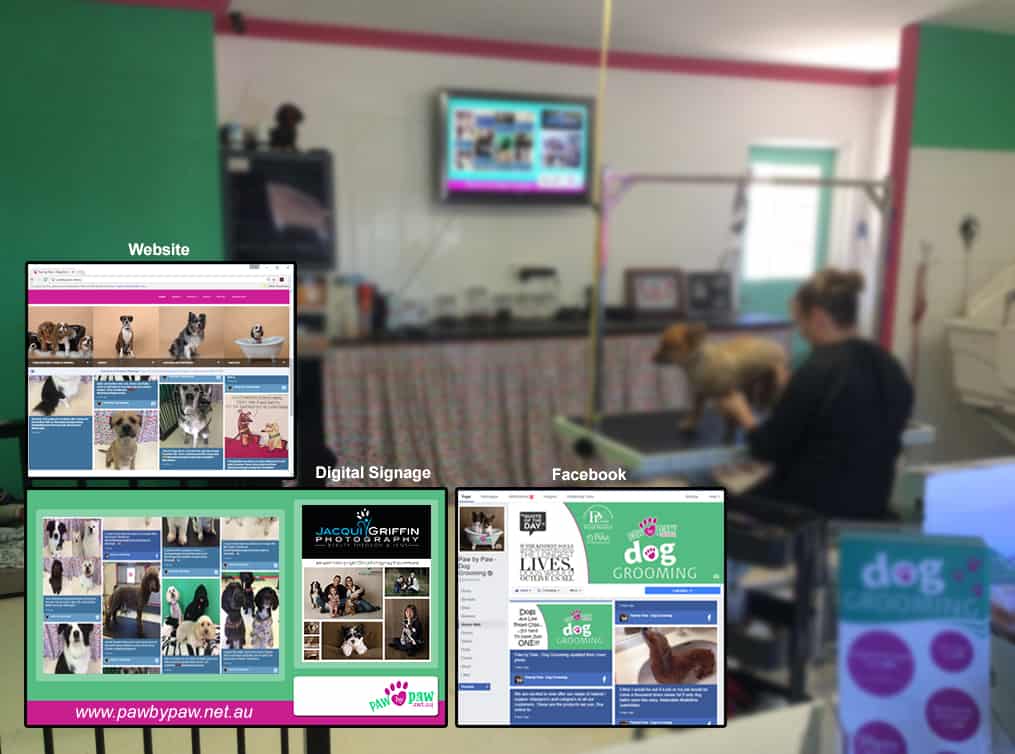 Digital Signage Social Wall Pet Grooming